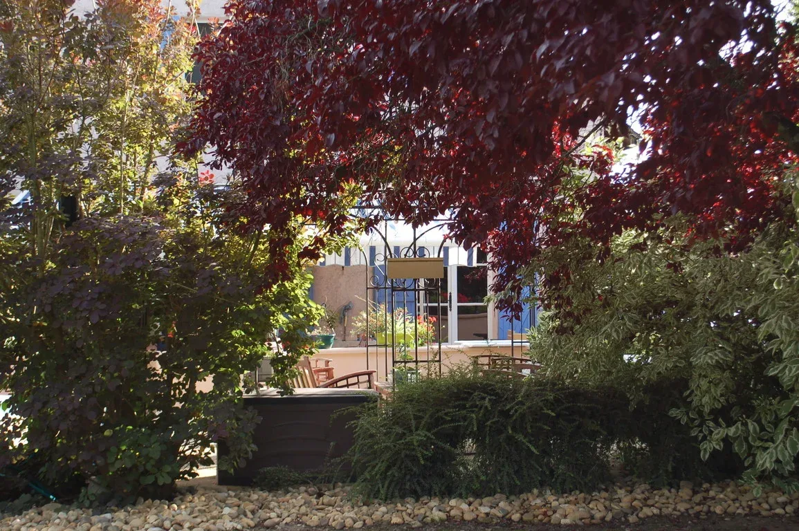 Le parc arboré et les transats au Clos des Meix